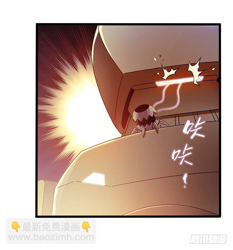 第7章 永生花438