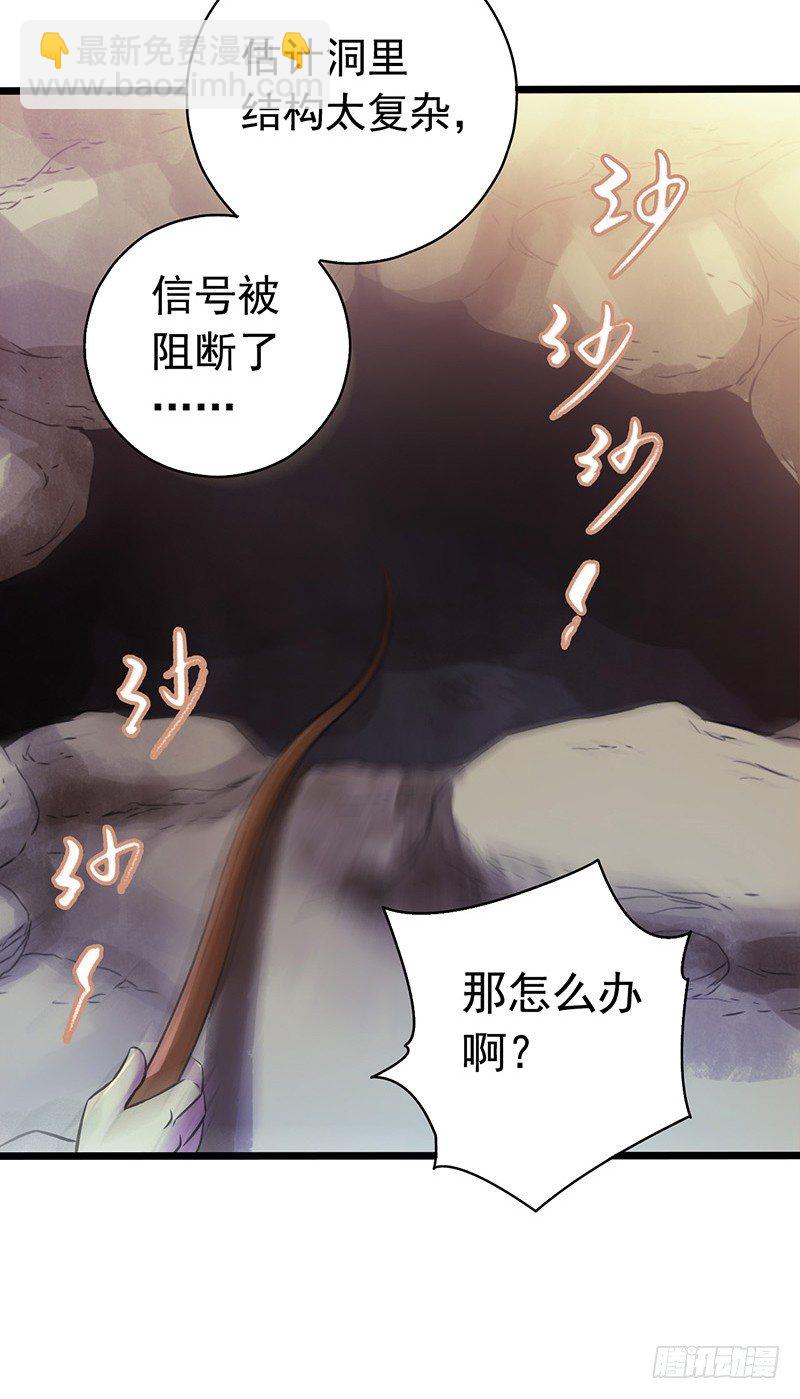 第7章 永生花623