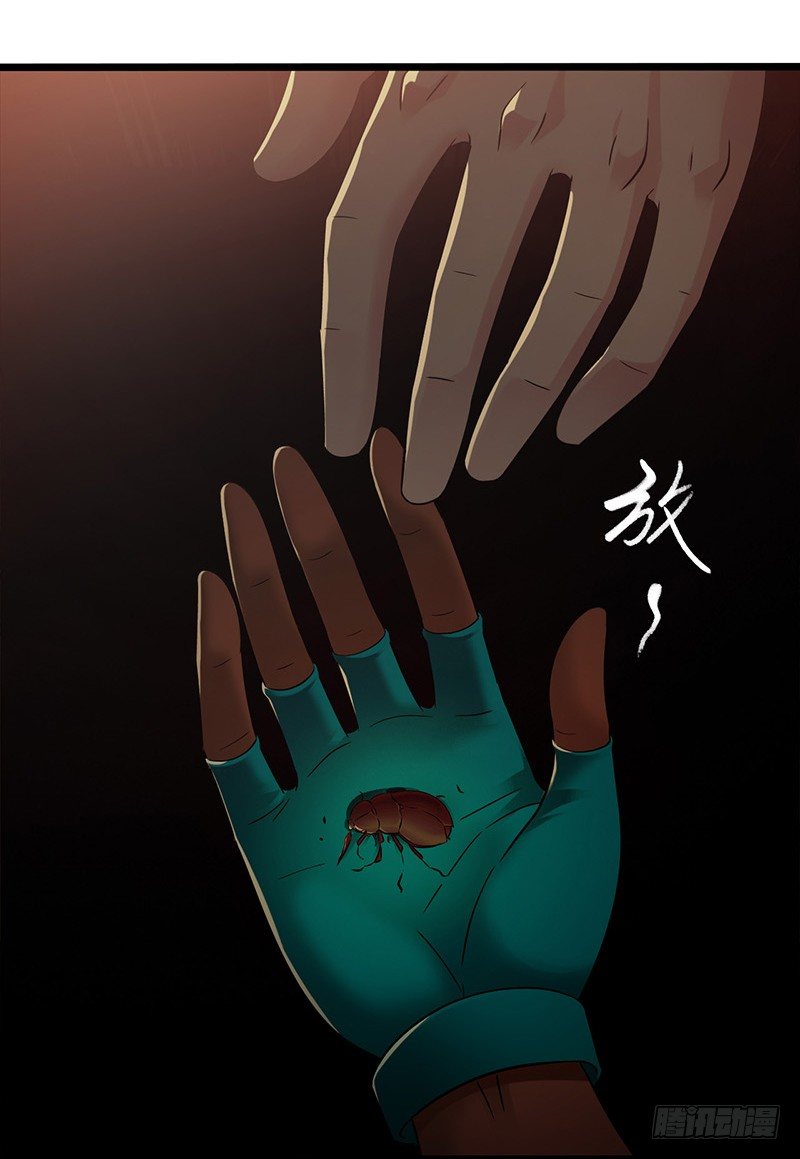 第7章 永生花739