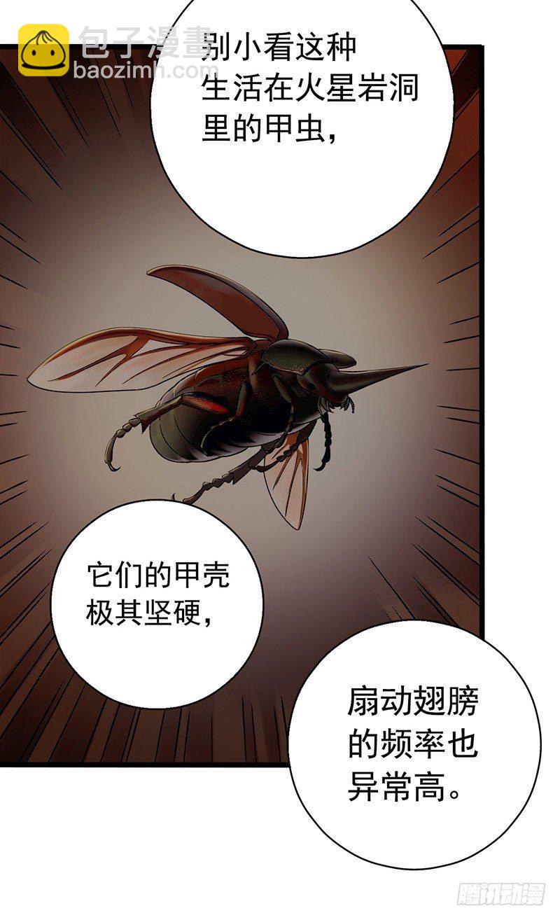 第7章 永生花744