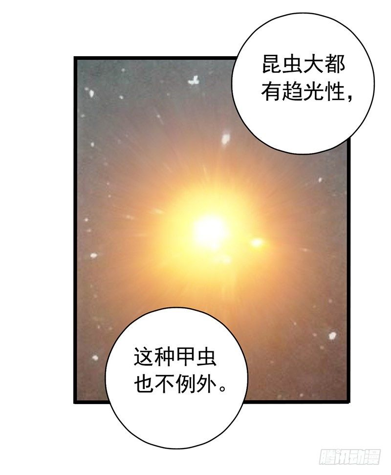 第7章 永生花746