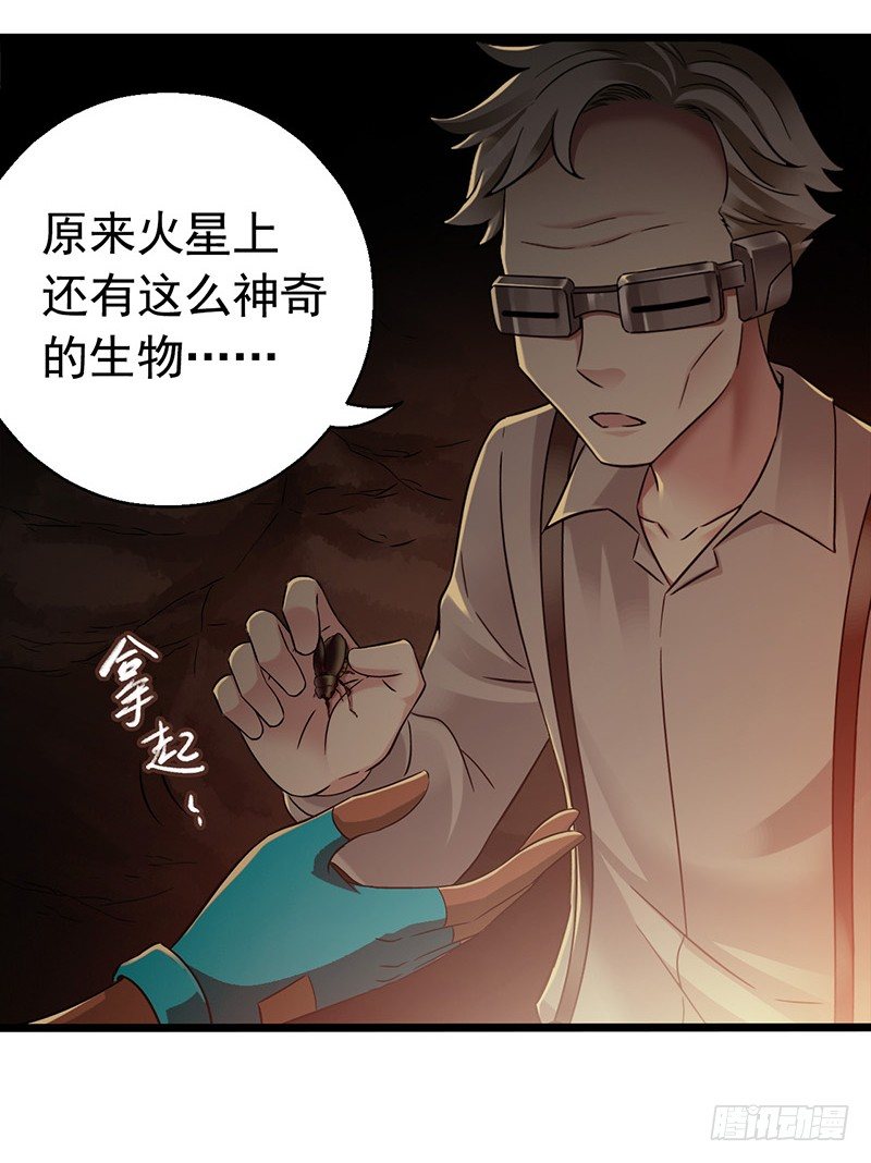 第7章 永生花749