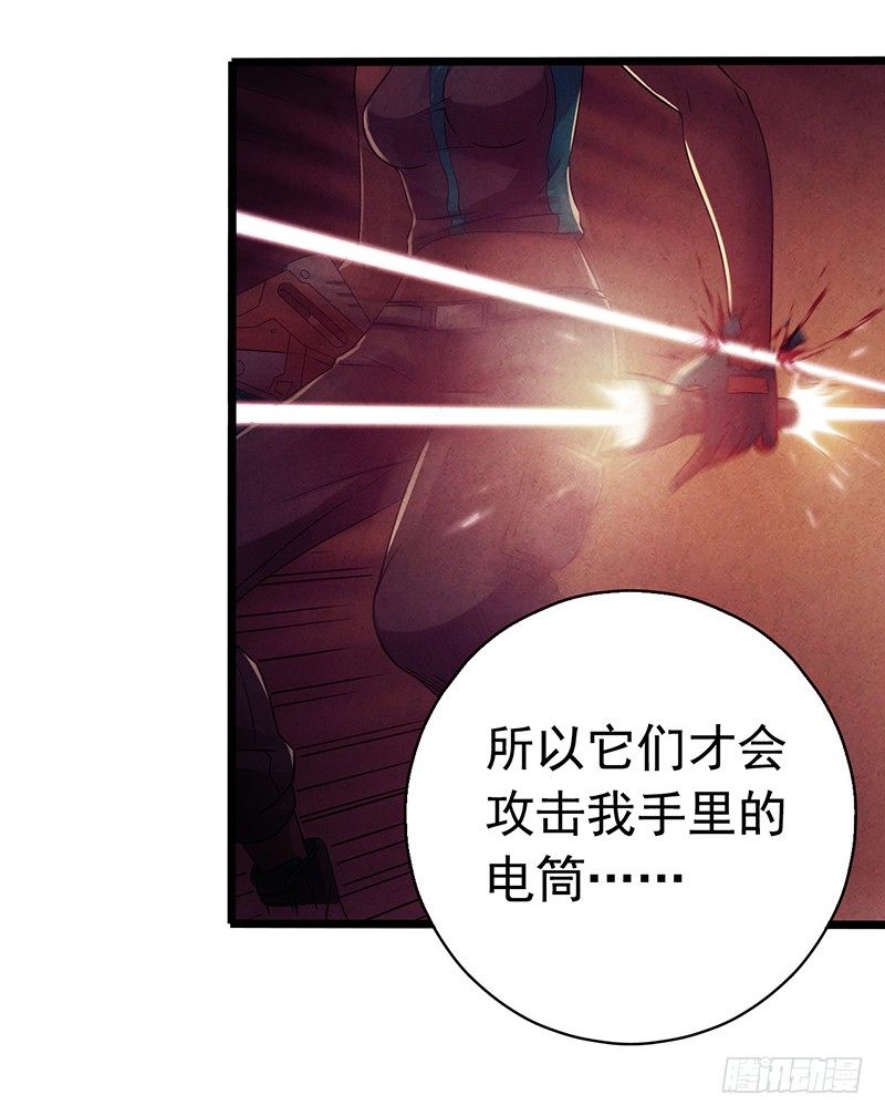 第7章 永生花751