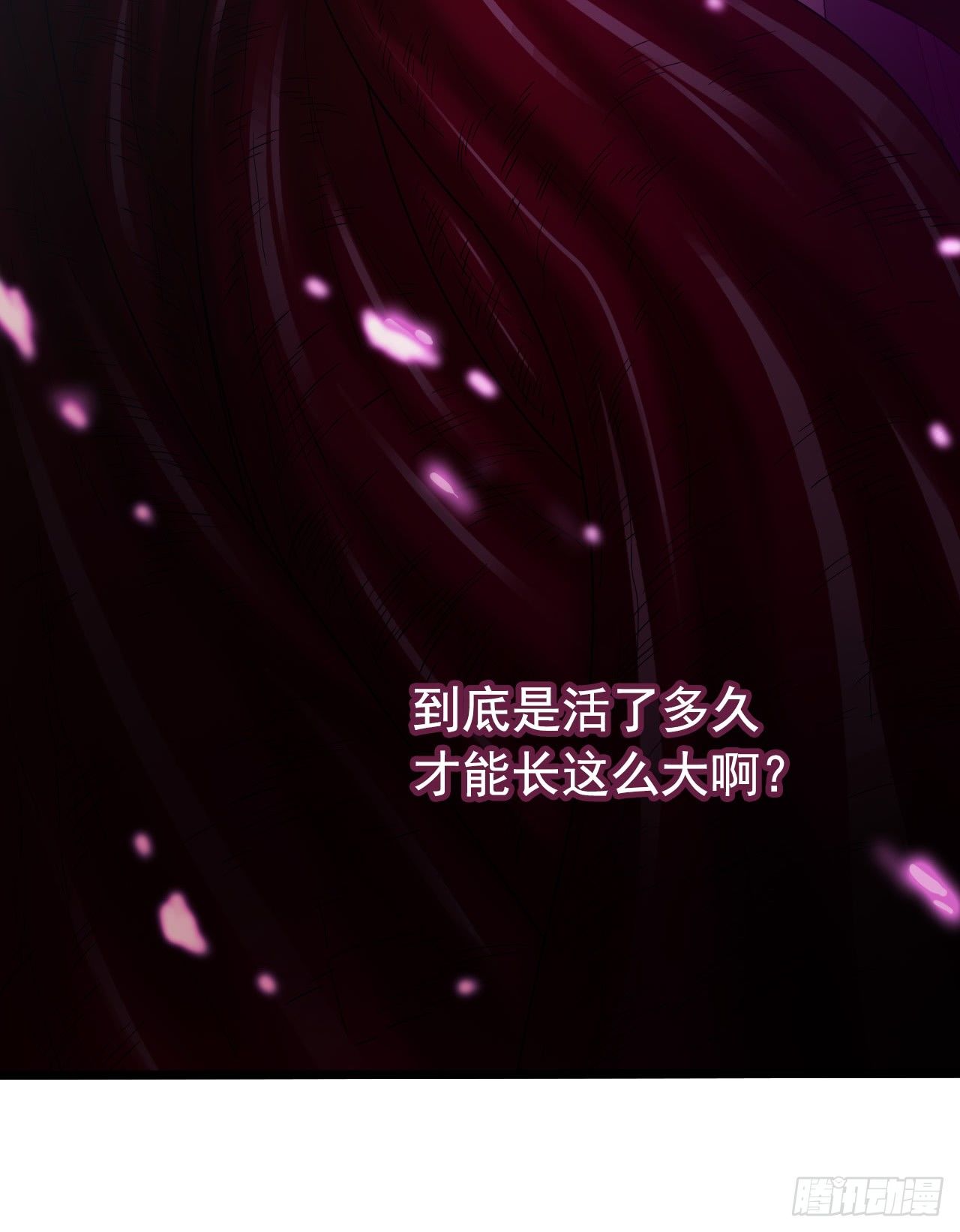 第7章 永生花945