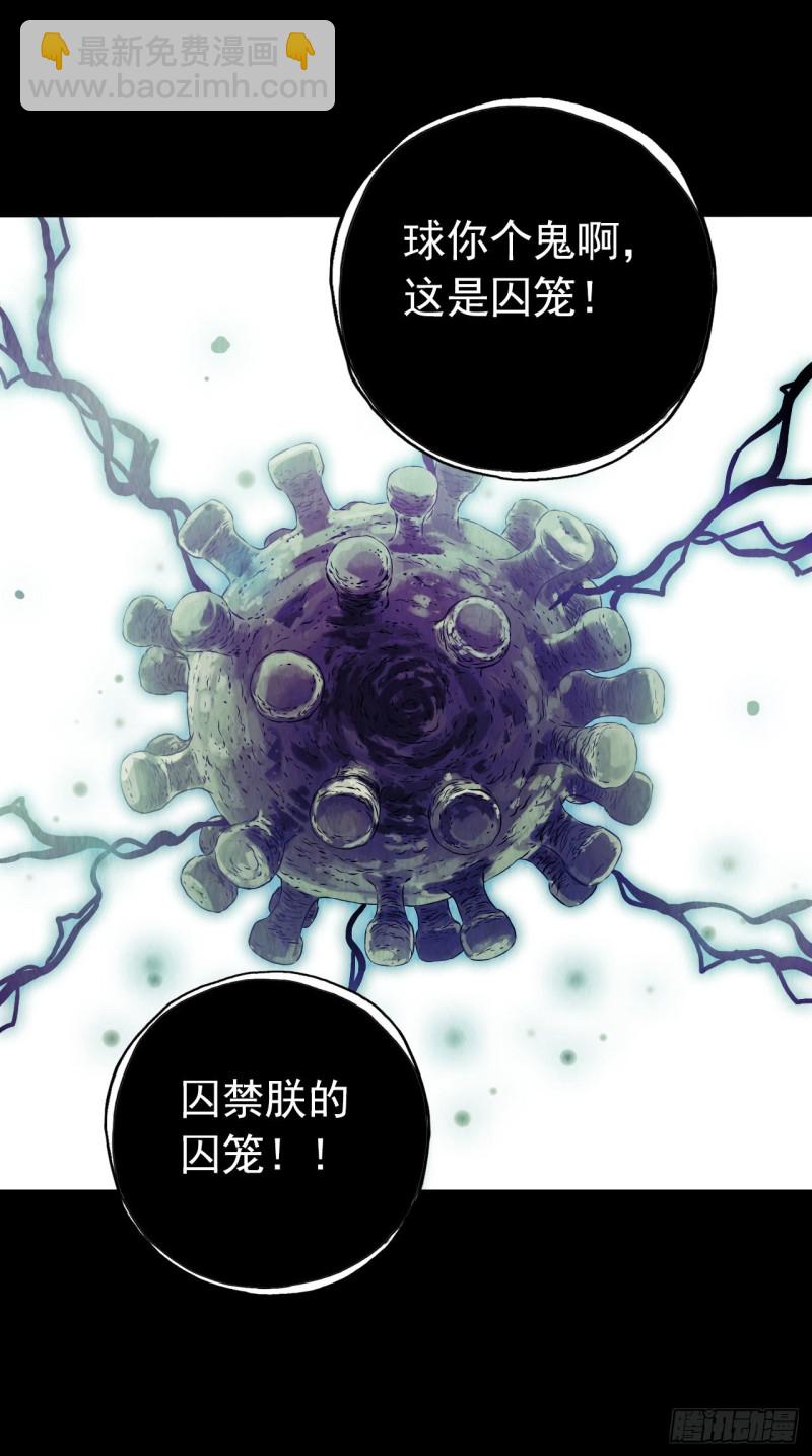 第12章 前尘往事1246