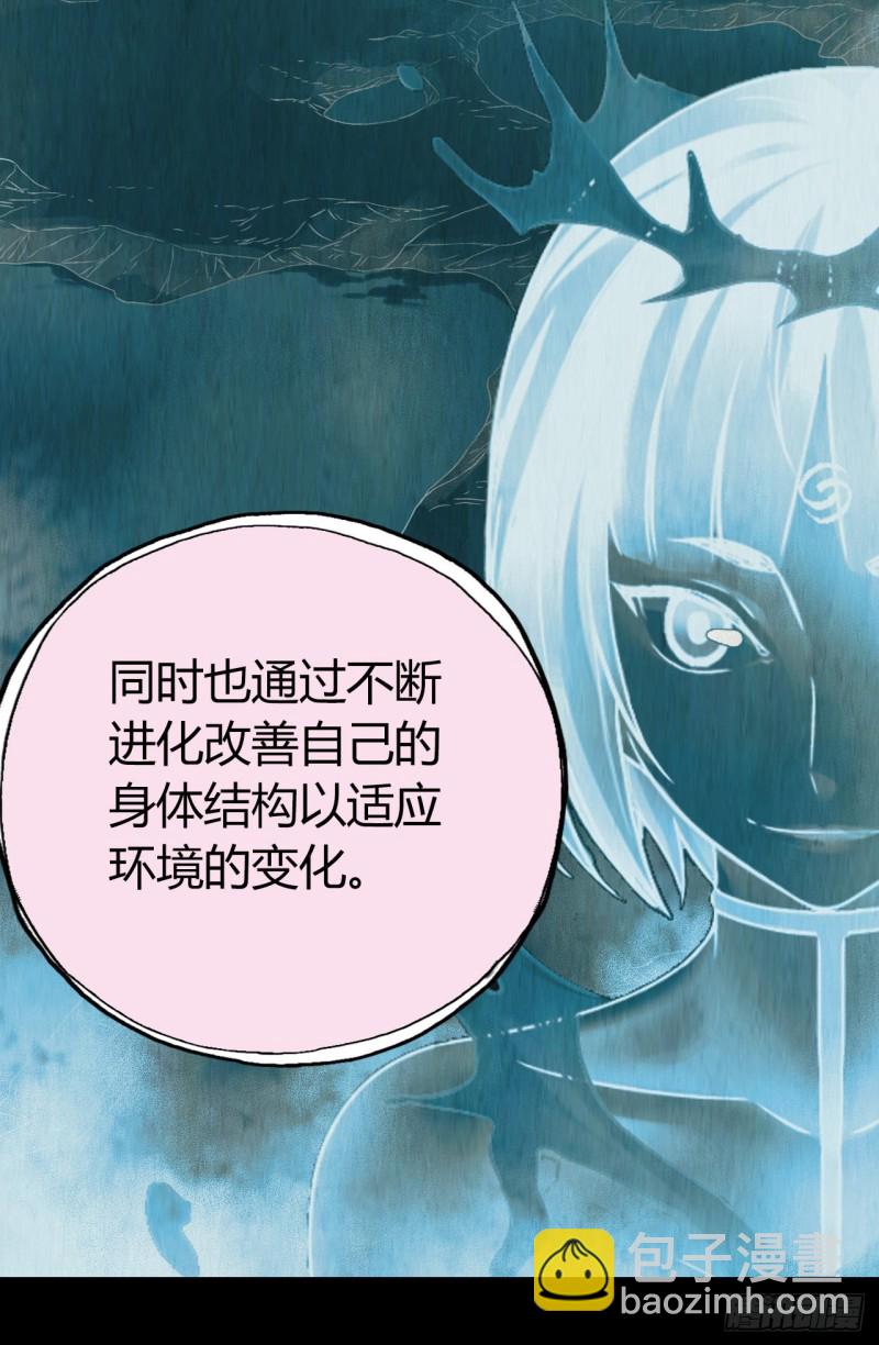 第12章 前尘往事147