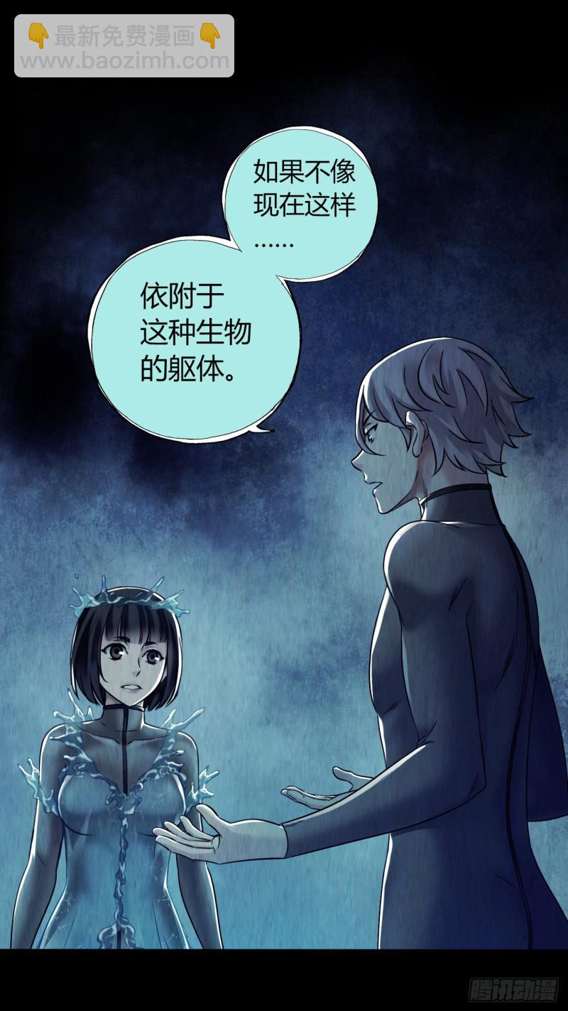 第12章 前尘往事1554