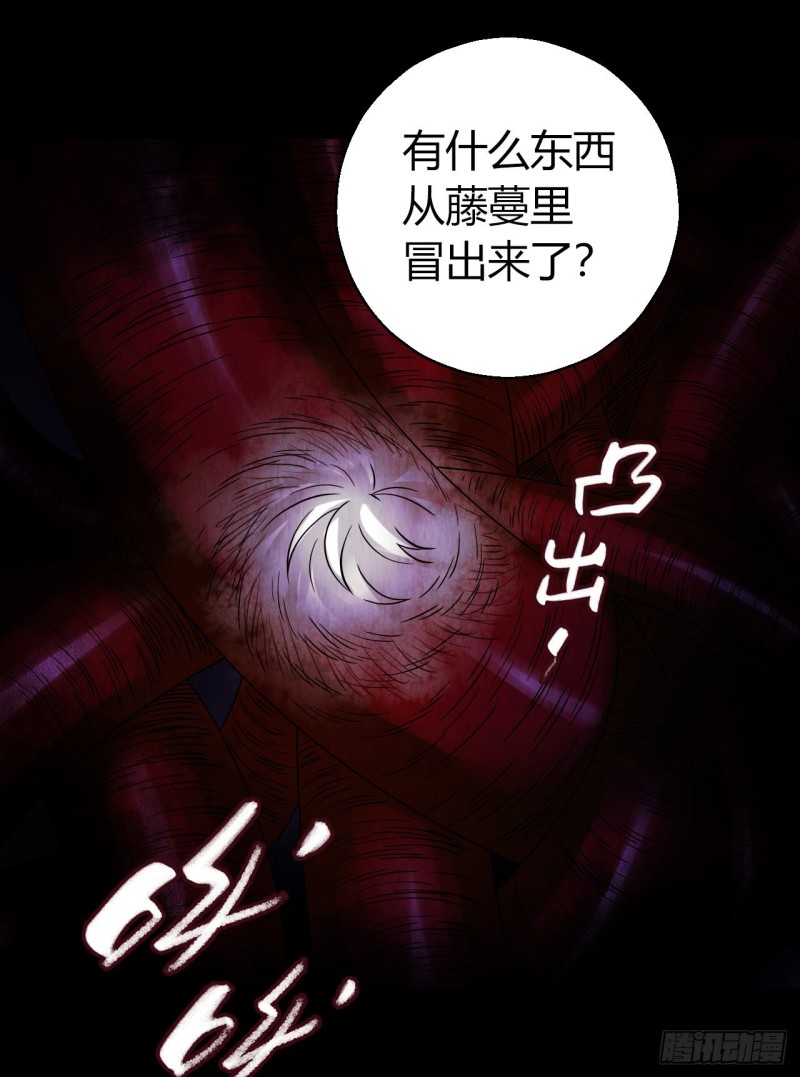 第12章 前尘往事2324