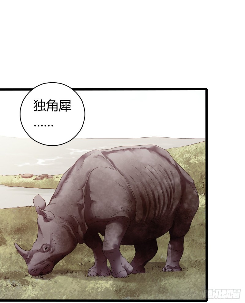第14章 独角兽325