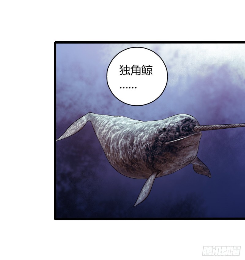 第14章 独角兽326