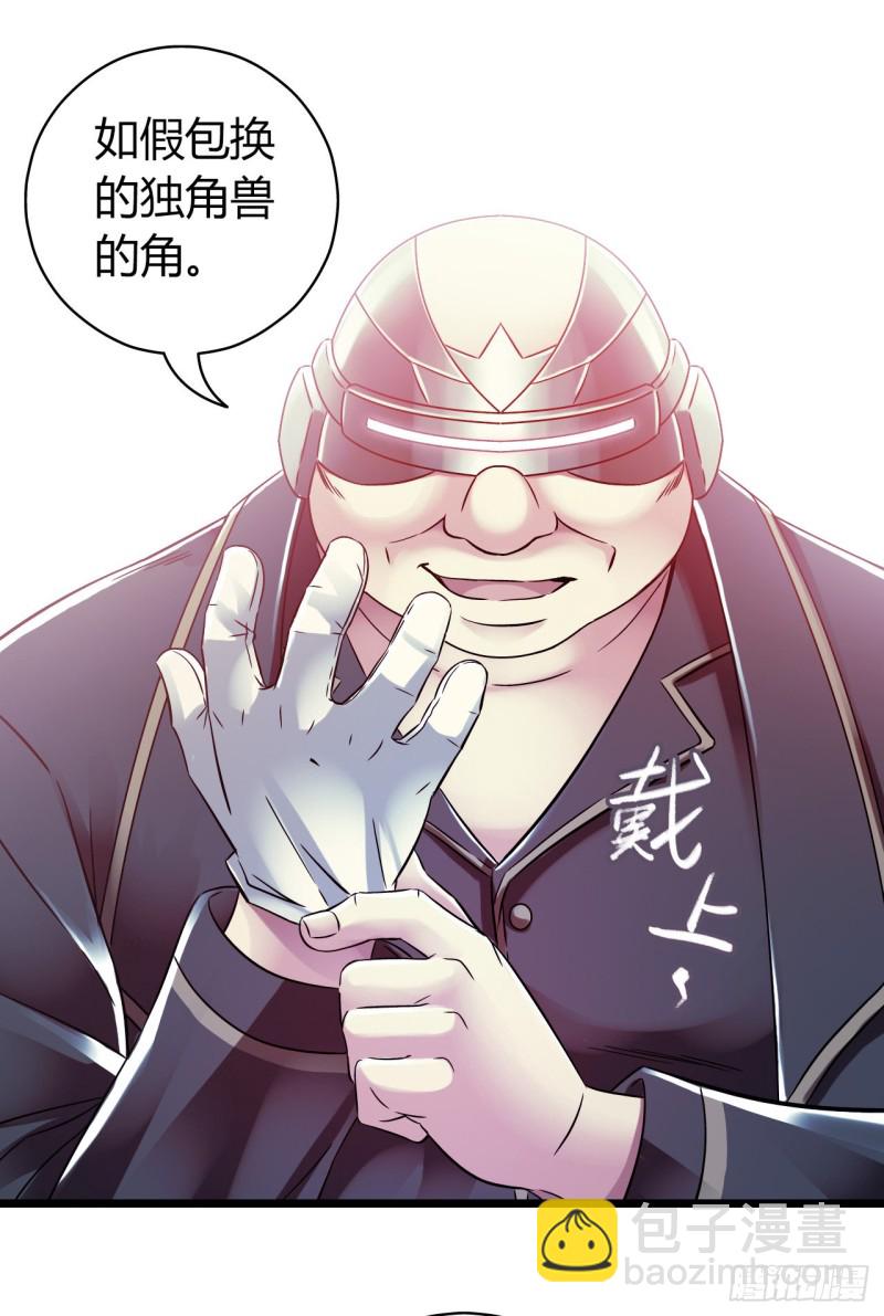 第14章 独角兽335