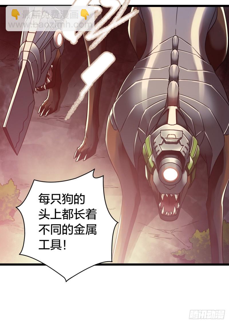 第14章 独角兽512