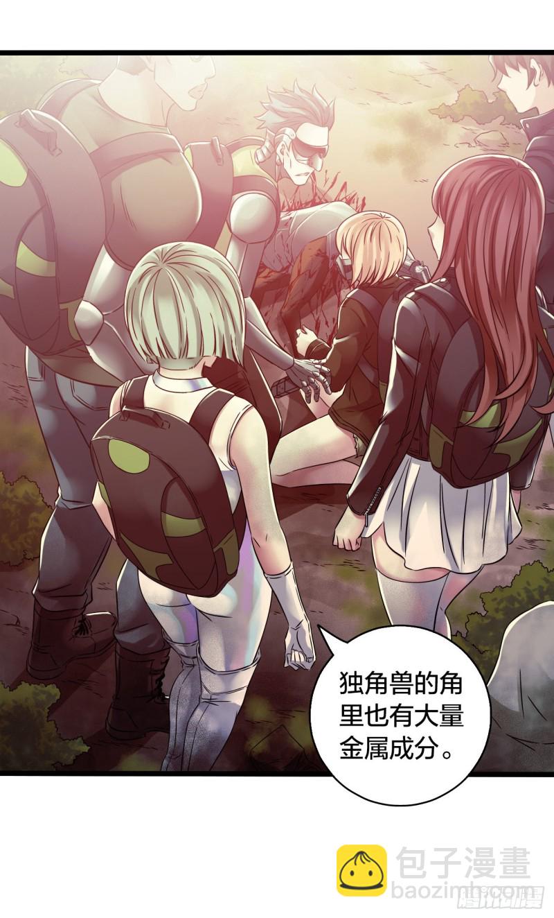 第14章 独角兽56