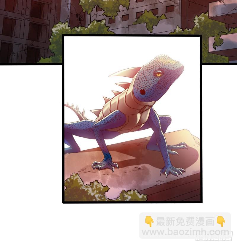 第14章 独角兽619