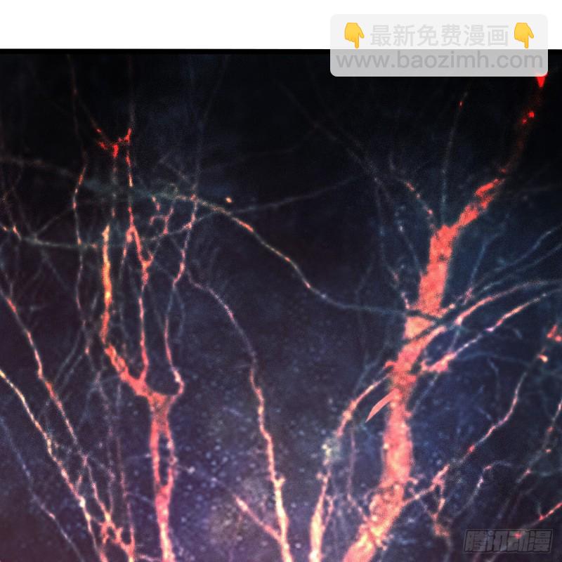 第14章 独角兽652