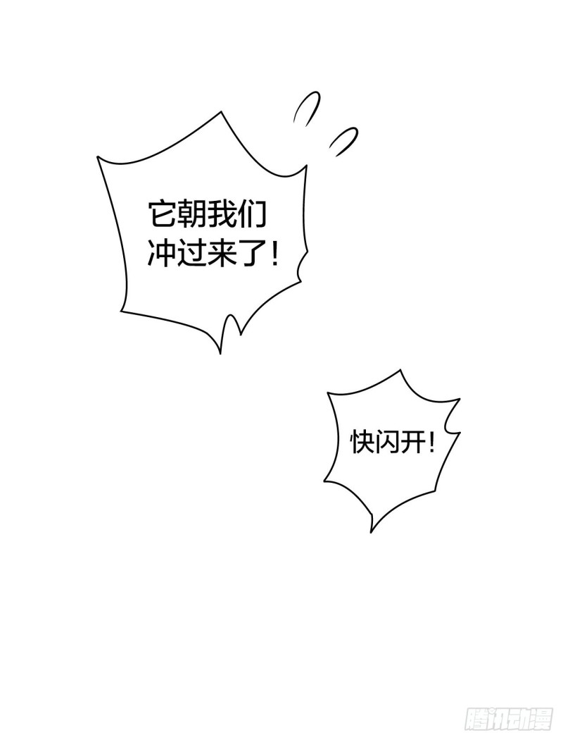 第14章 独角兽733