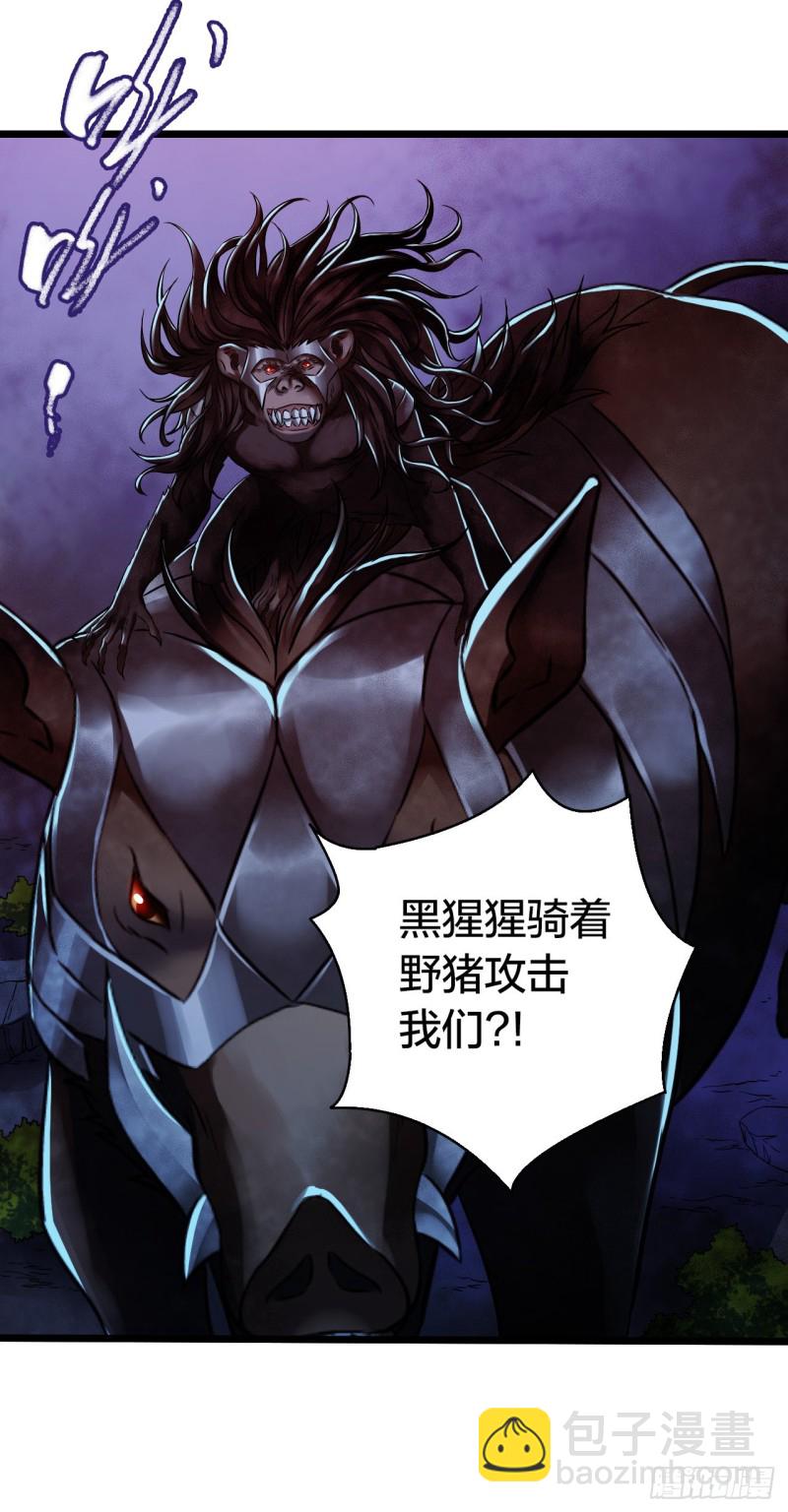 第14章 独角兽741