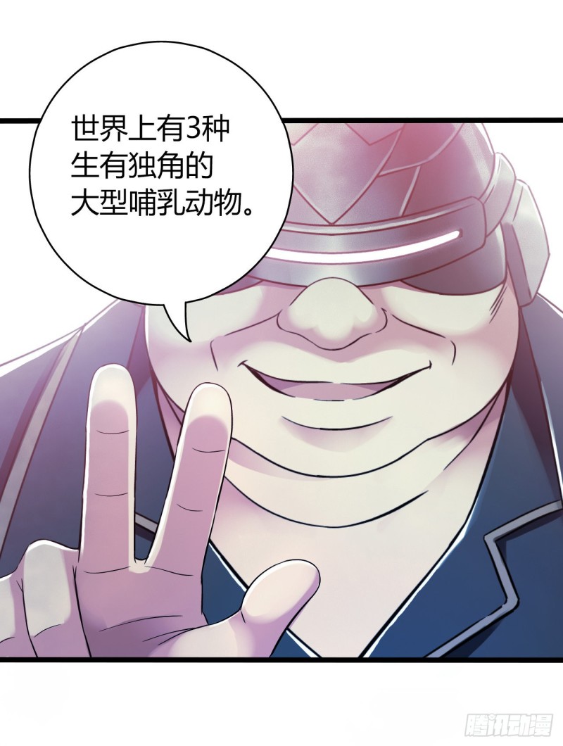 第14章 独角兽923