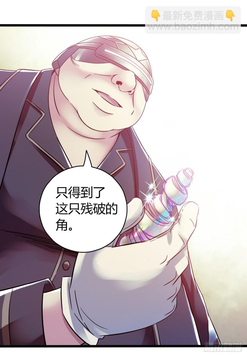 第14章 独角兽937