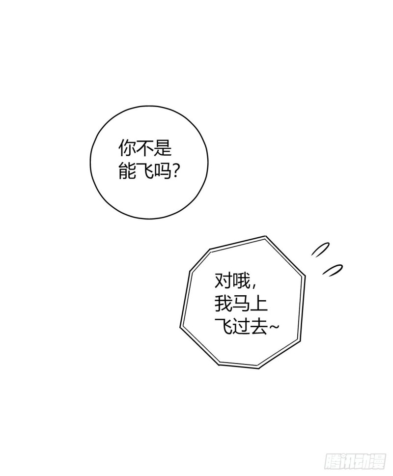 第16章 星空乐园543