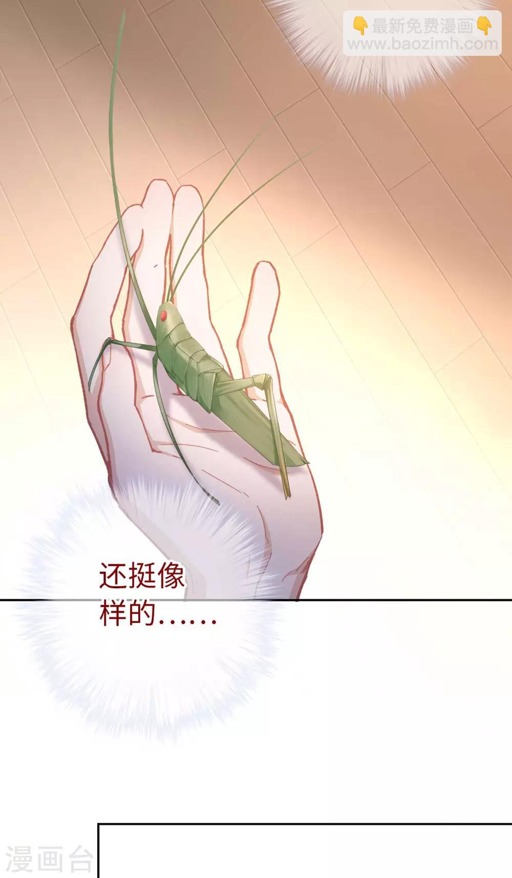第56话 芙蓉酥30