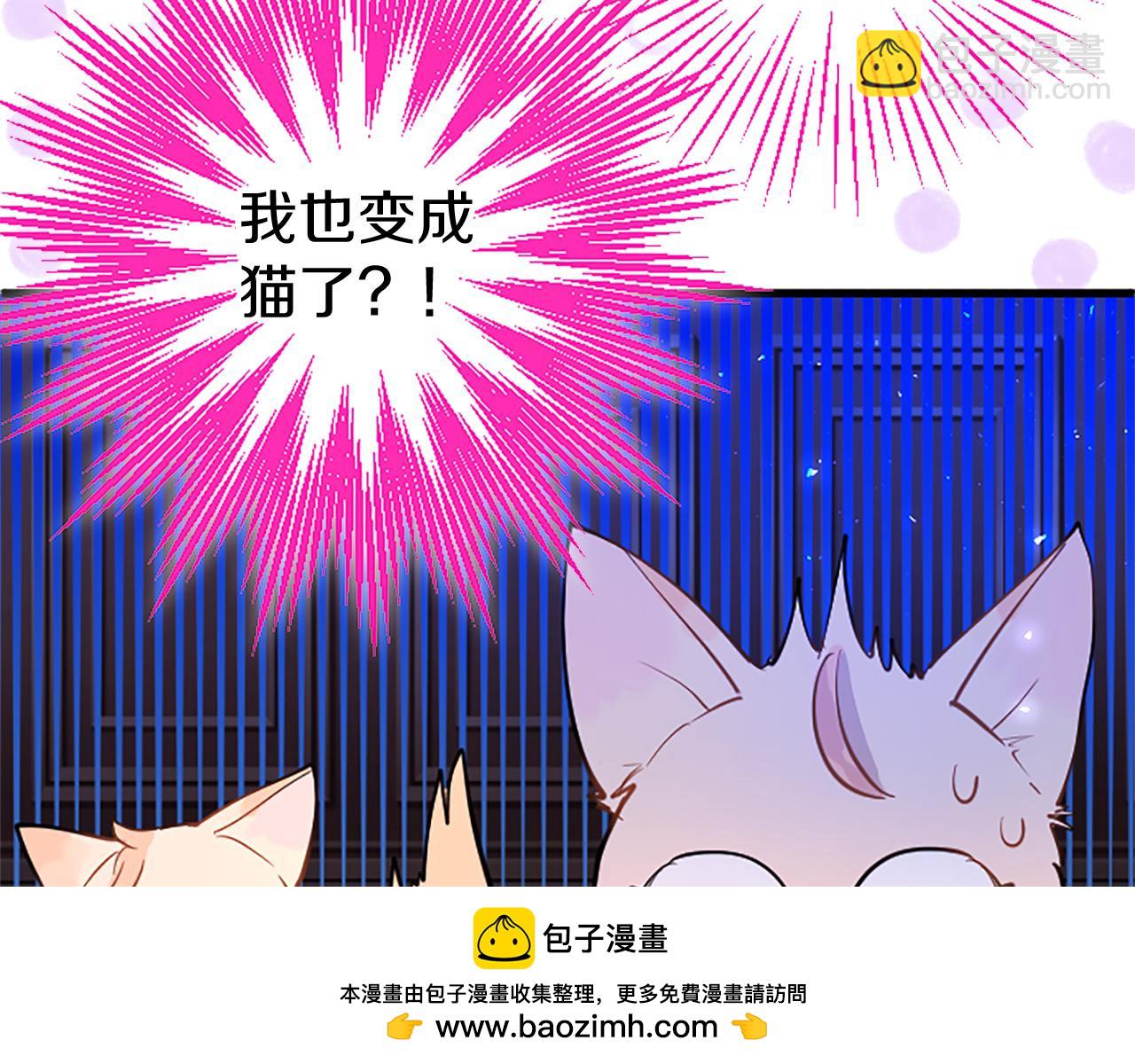 第50话 变身猫咪3