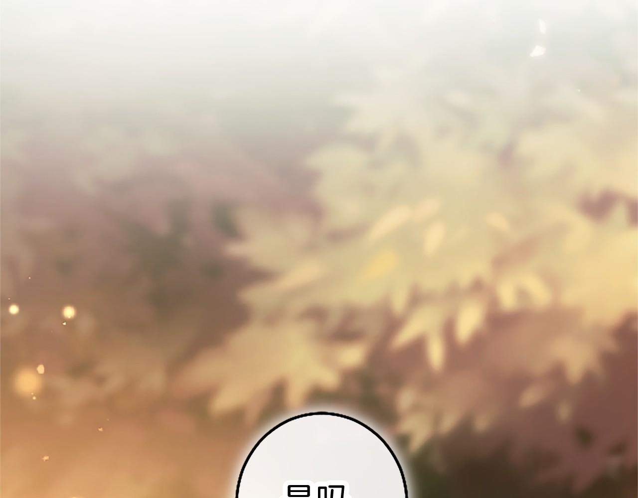 第110话 新婚快乐258