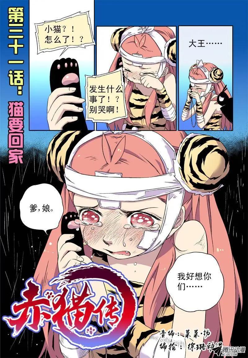 第31回 猫要回家！0