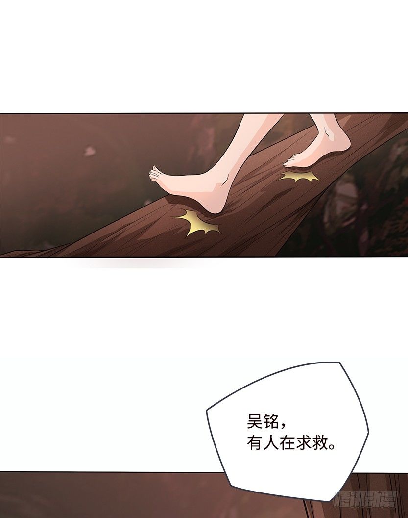 病毒感染模式39