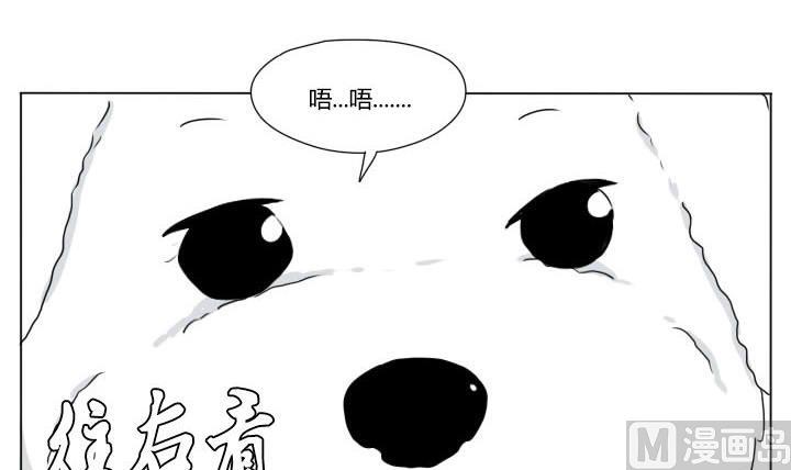 第90话 可爱和折磨11