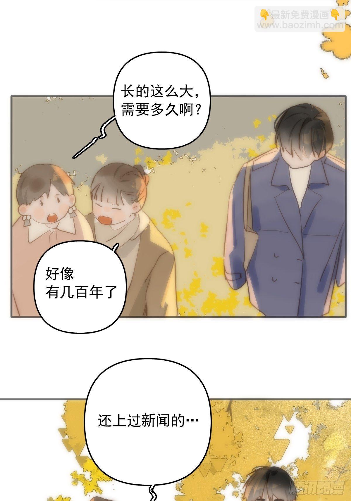 第23话 杏林村2
