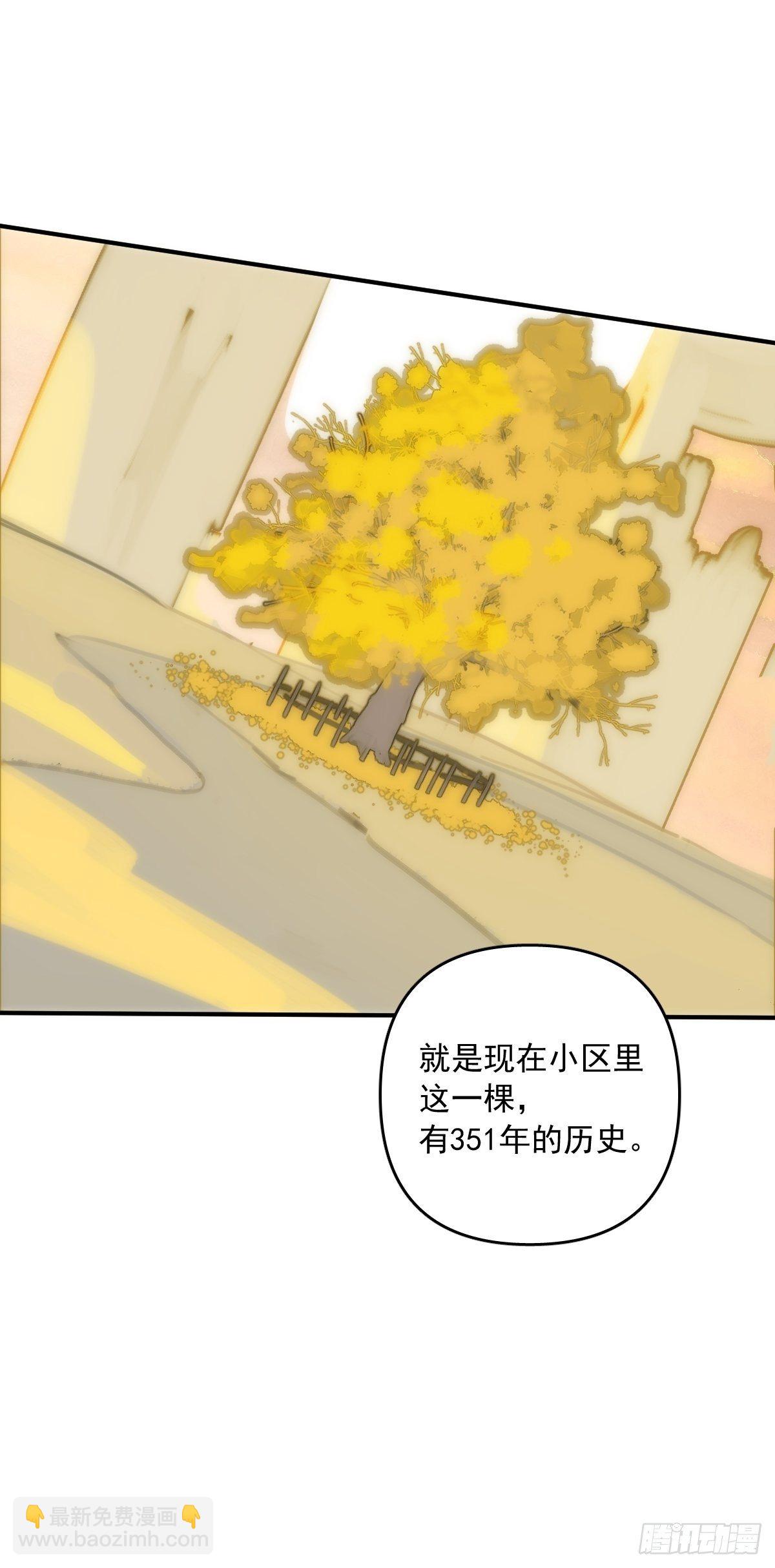 第23话 杏林村21