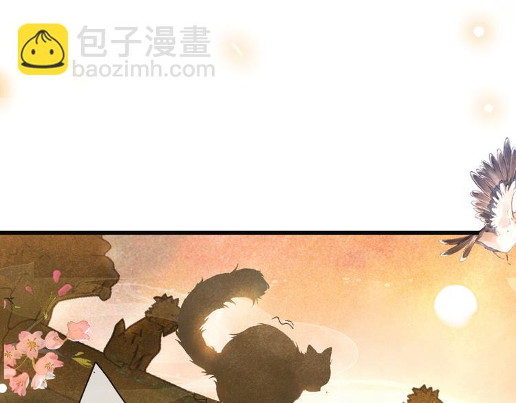 第1话 御猫的神秘生活10