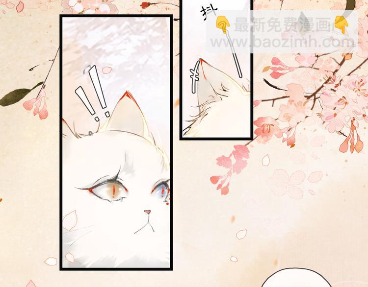 第1话 御猫的神秘生活12