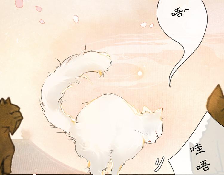 第1话 御猫的神秘生活13
