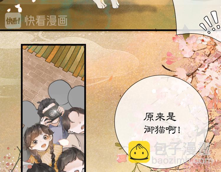 第1话 御猫的神秘生活14