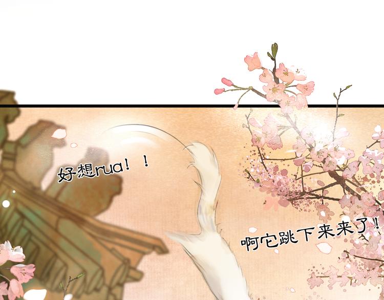 第1话 御猫的神秘生活17