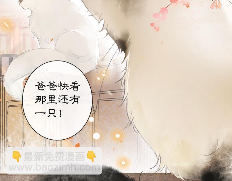 第1话 御猫的神秘生活28
