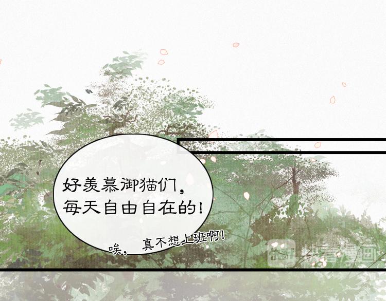 第1话 御猫的神秘生活48