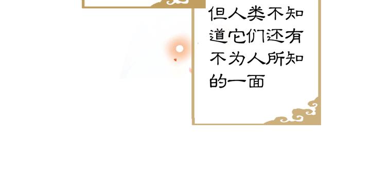 第1话 御猫的神秘生活51