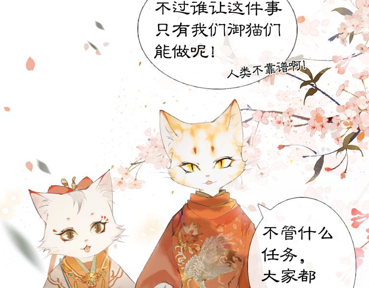 第1话 御猫的神秘生活62