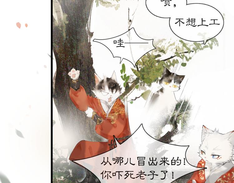 第1话 御猫的神秘生活64
