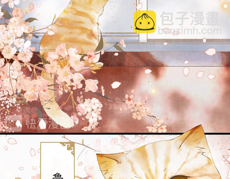 第1话 御猫的神秘生活69