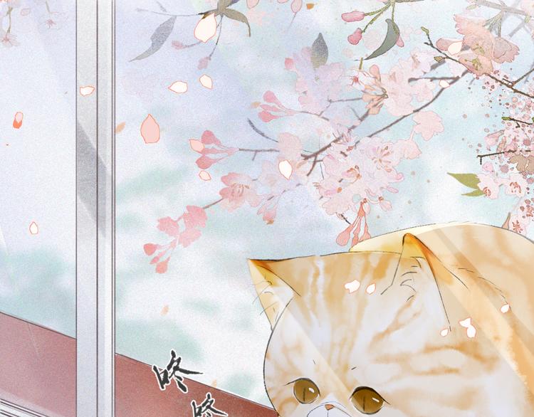 第1话 御猫的神秘生活76