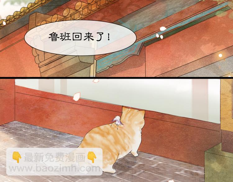 第1话 御猫的神秘生活81