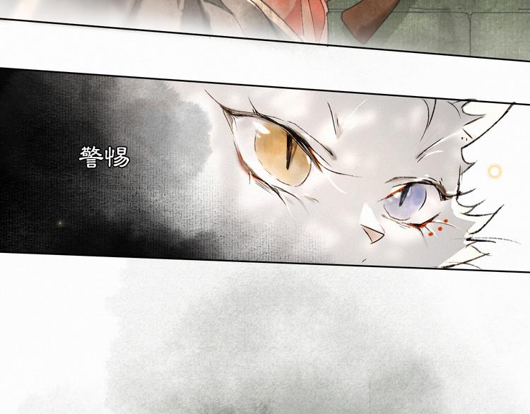 第28话 有“猫腻”的柴房15