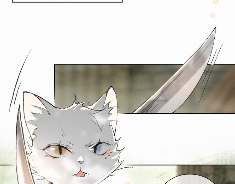 第28话 有“猫腻”的柴房25