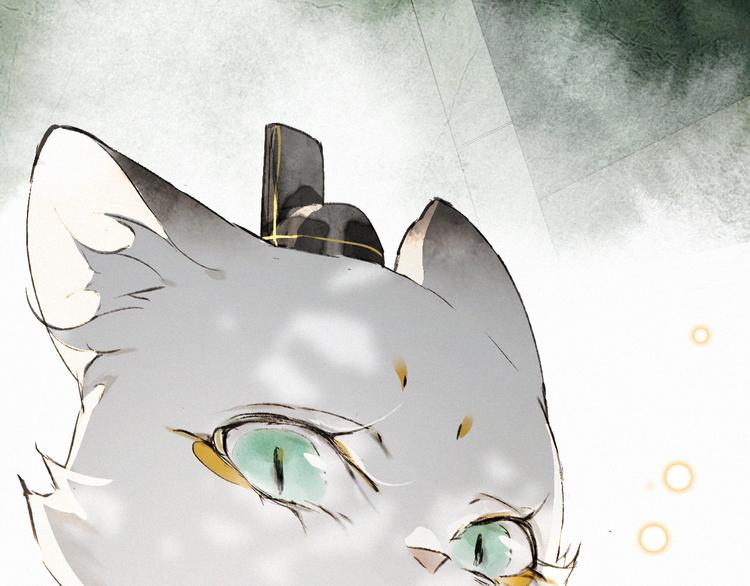 第28话 有“猫腻”的柴房32