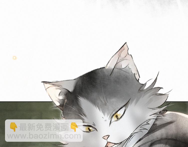 第28话 有“猫腻”的柴房43