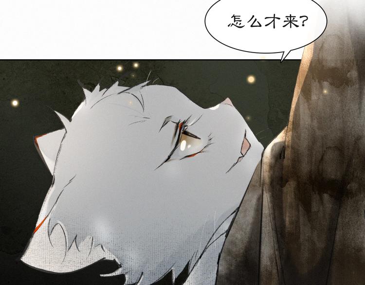 第28话 有“猫腻”的柴房45